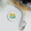 Dog Paw Protection Balm | Chosen By Dogs CBD Pet Care