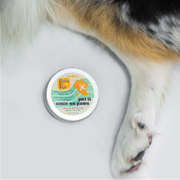 CBD Paw Protection for Dogs 100 Natural CBD Oil Balm