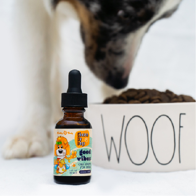 Benefits of CBD Oils for Dogs